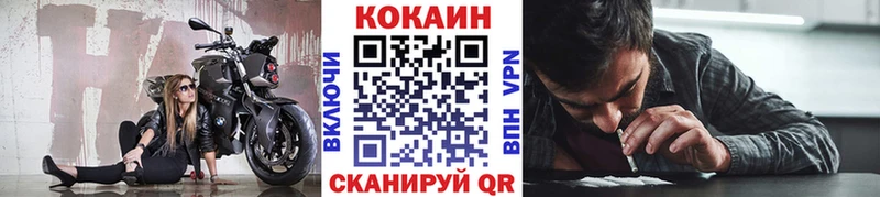 COCAIN Fish Scale  Купить закладки  Цоци-Юрт 