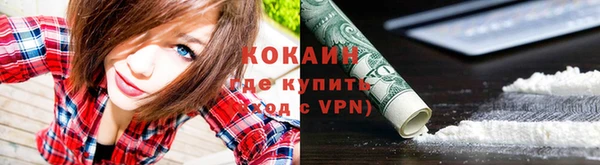 PSILOCYBIN Армянск
