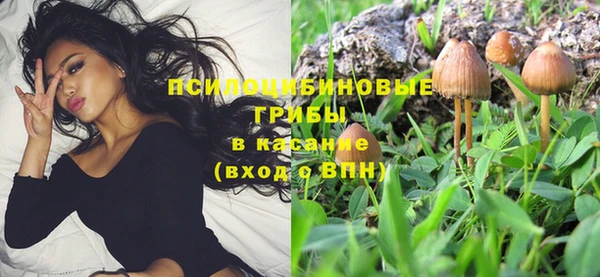 гидропоника Арсеньев