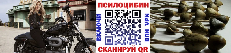 Галлюциногенные грибы мухоморы  Купить где  Цоци-Юрт 